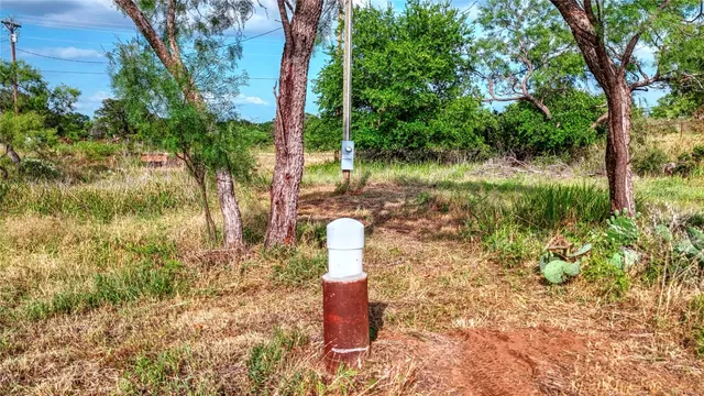 a fire hydrant in the middle of a forest