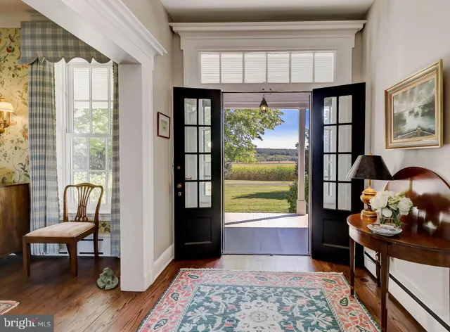 a view of a yard with plants and trees
