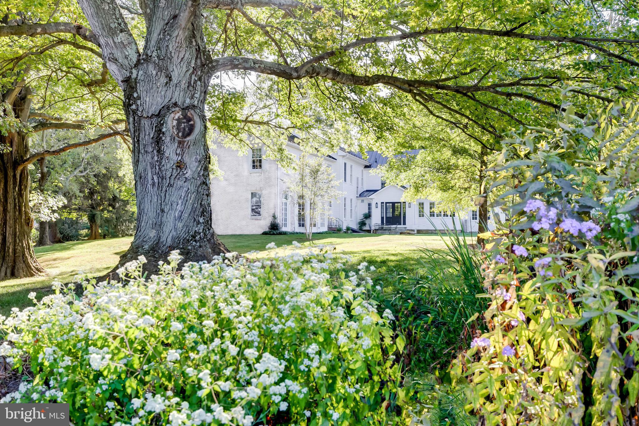 13401 Longnecker Road Reisterstown, MD 21136 - Photo 16 of 58 a view of a yard with plants and large trees
