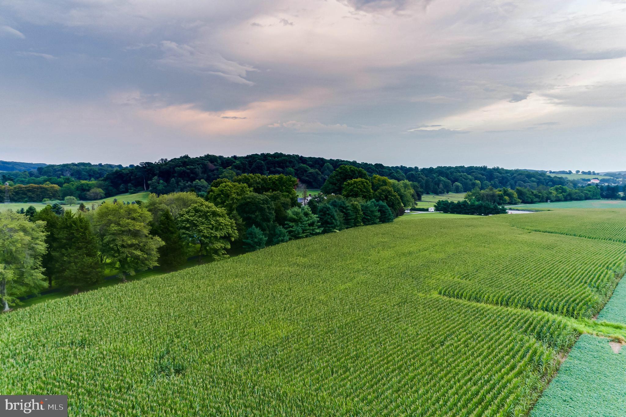 13401 Longnecker Road Reisterstown, MD 21136 - Photo 41 of 58 a view of a garden and mountains
