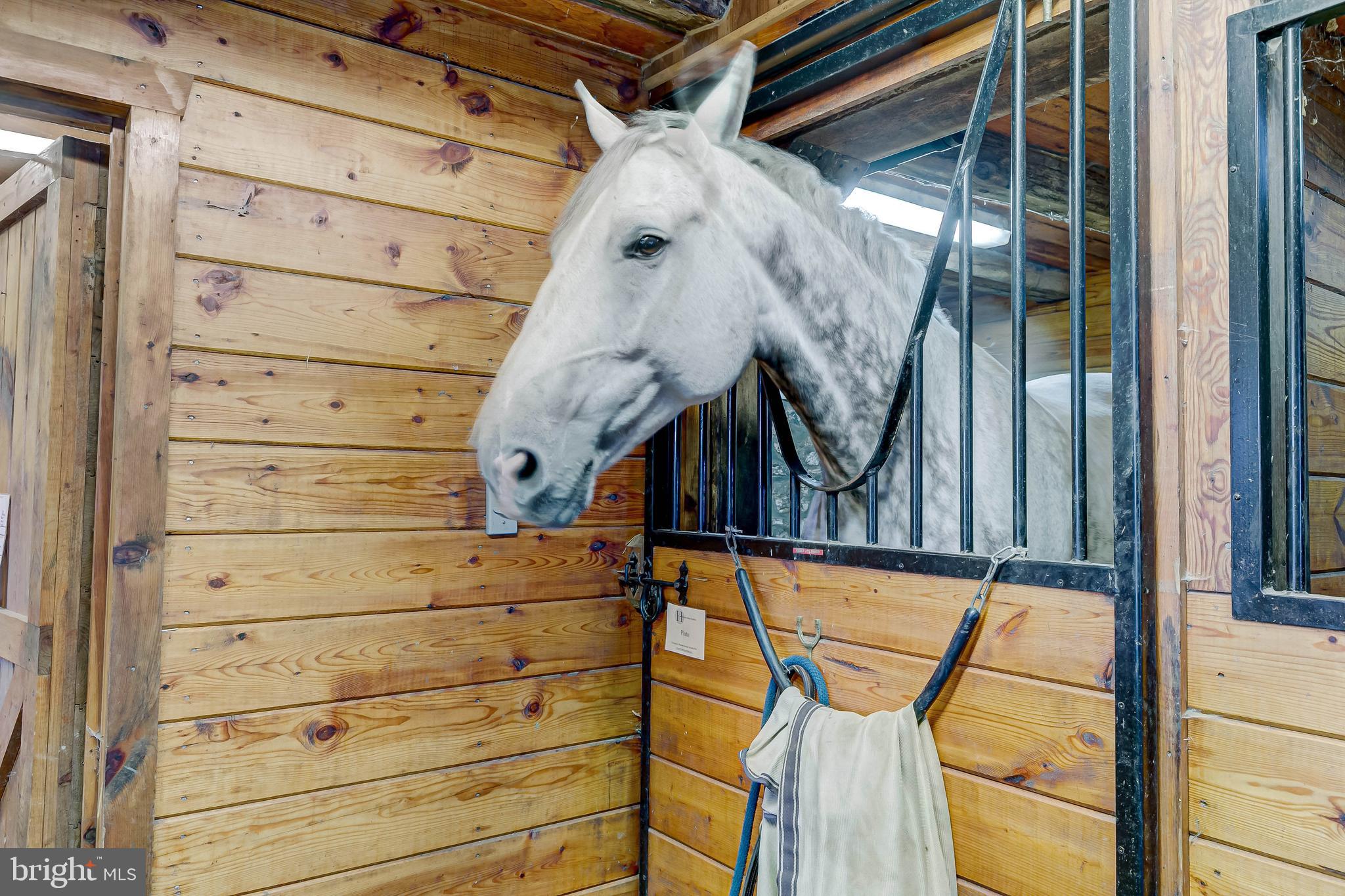 13401 Longnecker Road Reisterstown, MD 21136 - Photo 49 of 58