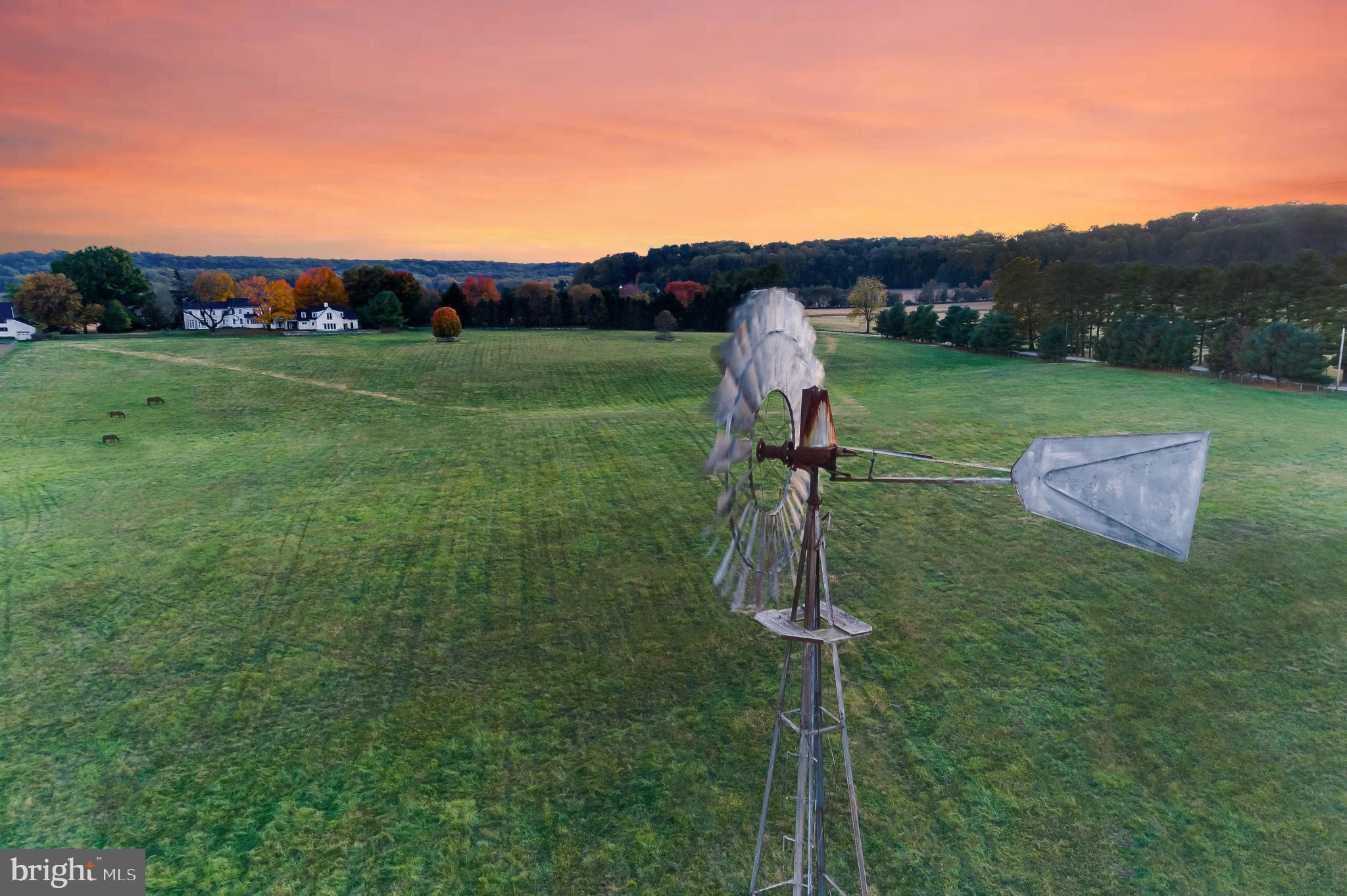 13401 Longnecker Road Reisterstown, MD 21136 - Photo 50 of 58 a backyard of a house with lots of green space and plants