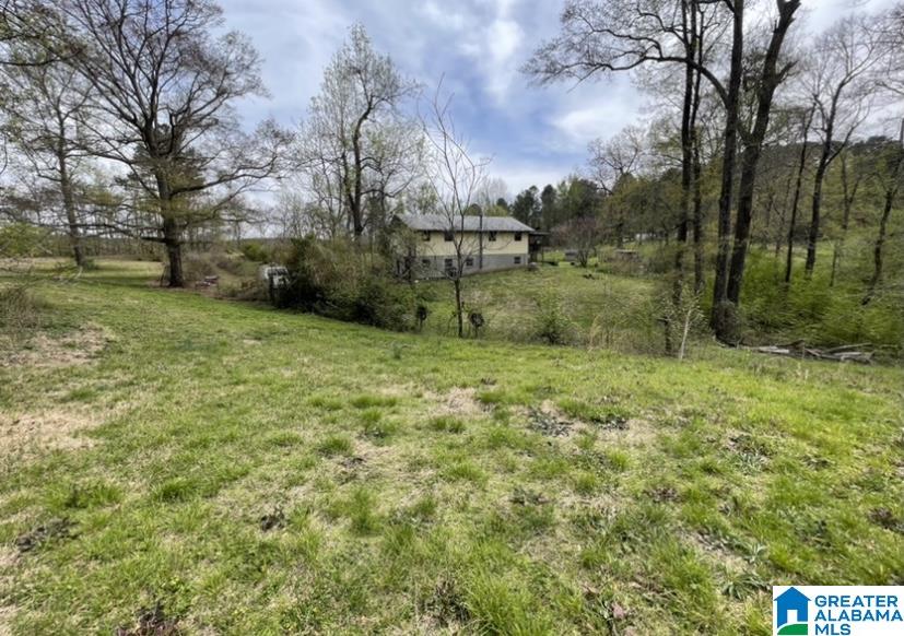 659 River Lawn Road Quinton, AL 35130 - Photo 24 of 24