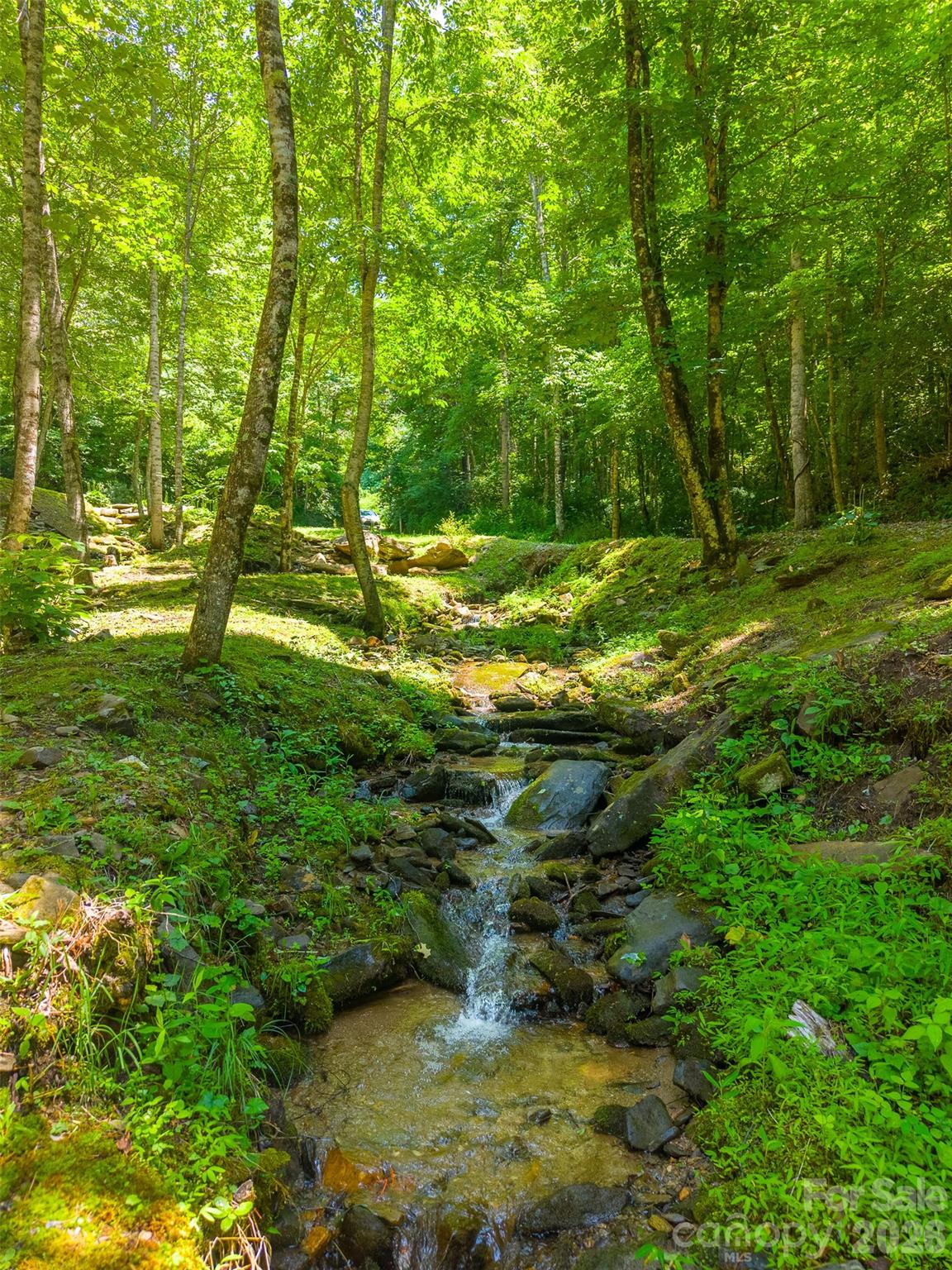 77 Pigeon Creek Road Bryson City, NC 28713 - Photo 40 of 47