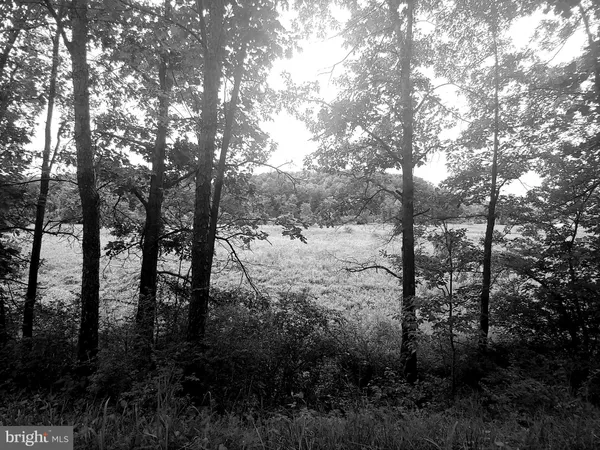 a view of outdoor space and covered with trees