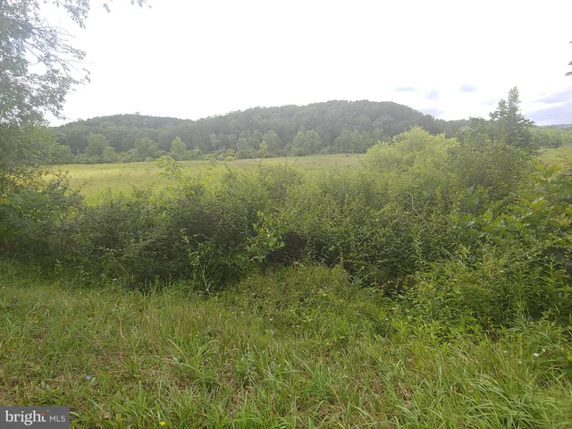 $29,900 | Bear Hill Road, Oldtown, MD 21555