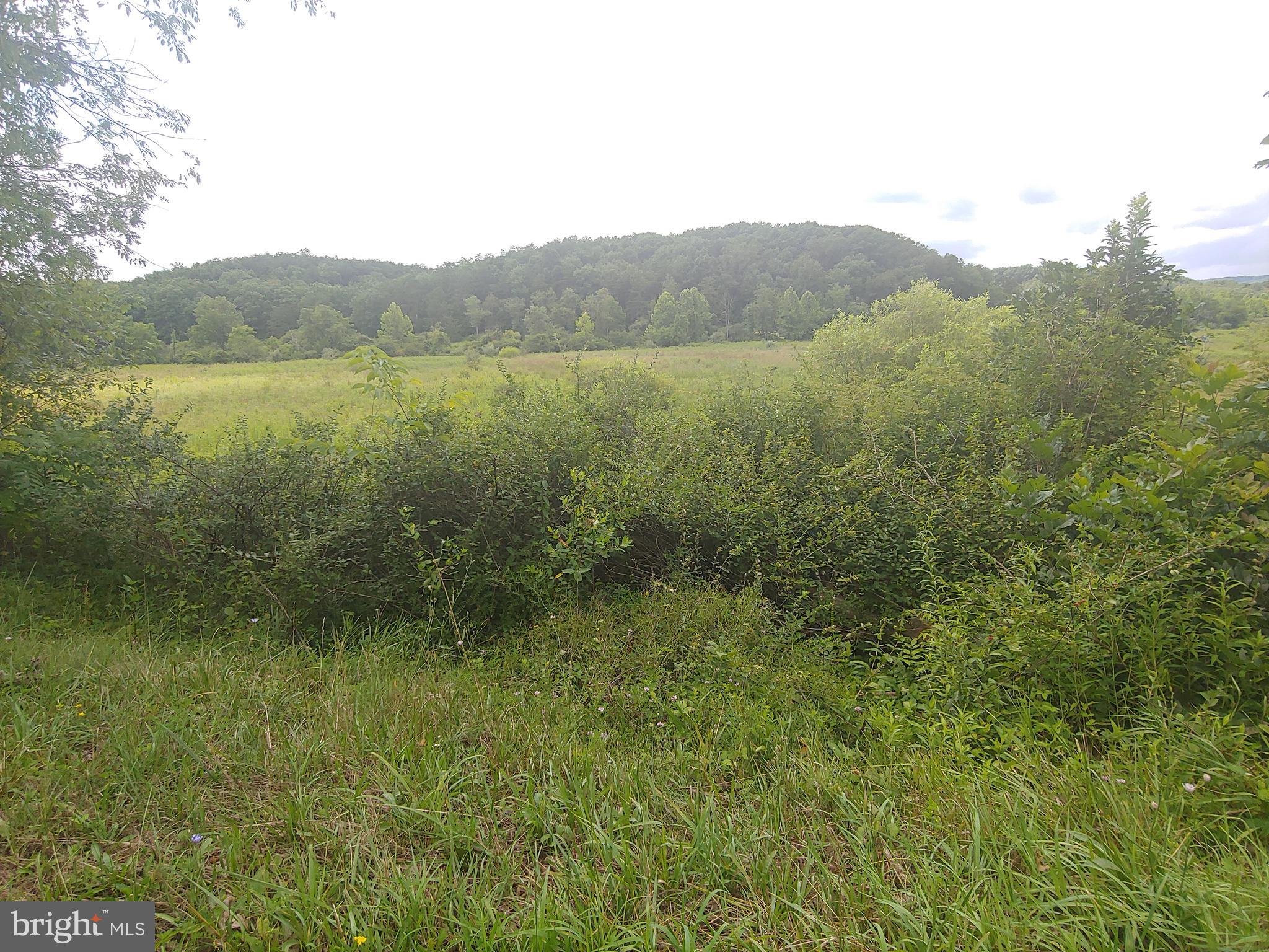 Bear Hill Road Oldtown, MD 21555 - Photo 4 of 10 a view of a lake with a mountain in the background