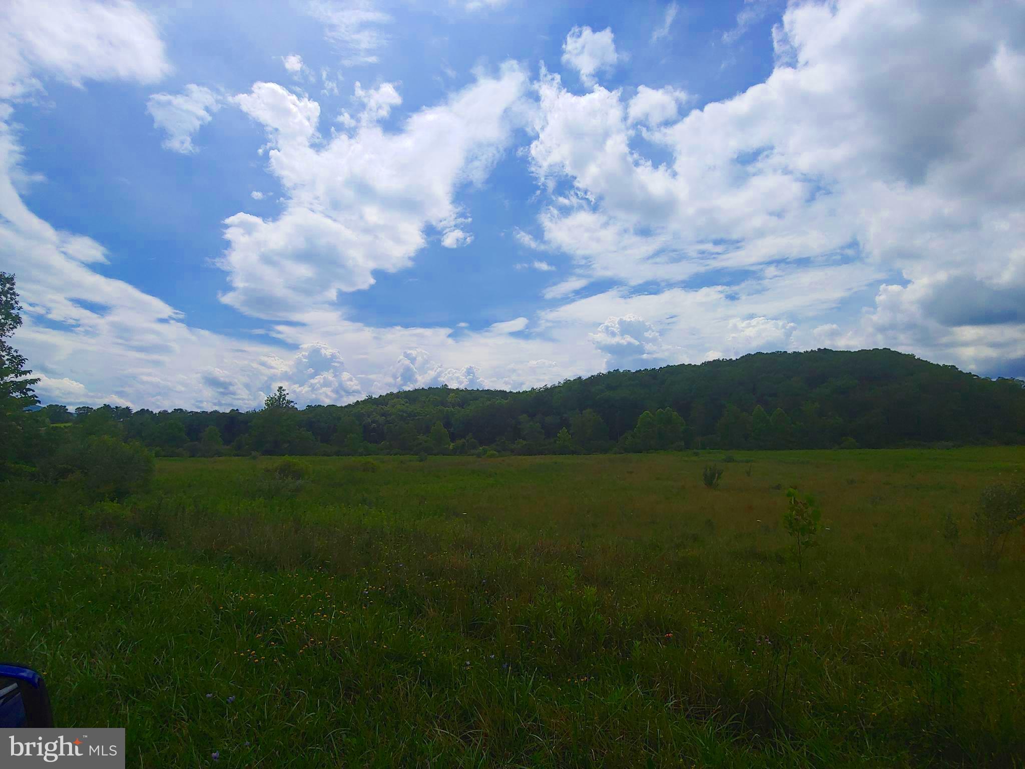 Bear Hill Road Oldtown, MD 21555 - Photo 5 of 10 a view of an ocean and a yard
