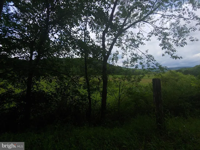 $29,900 | Bear Hill Road, Oldtown, MD 21555