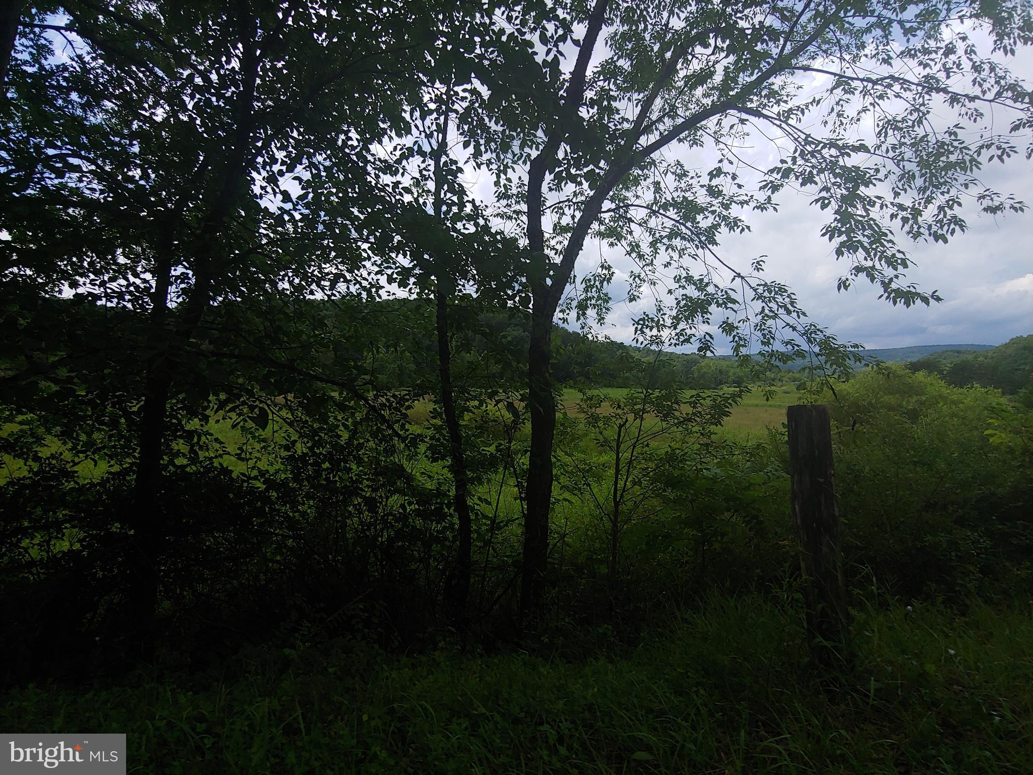 Bear Hill Road Oldtown, MD 21555 - Photo 6 of 10 a view of outdoor space and garden