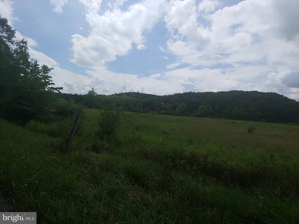 a view of a big yard of a house with a garden