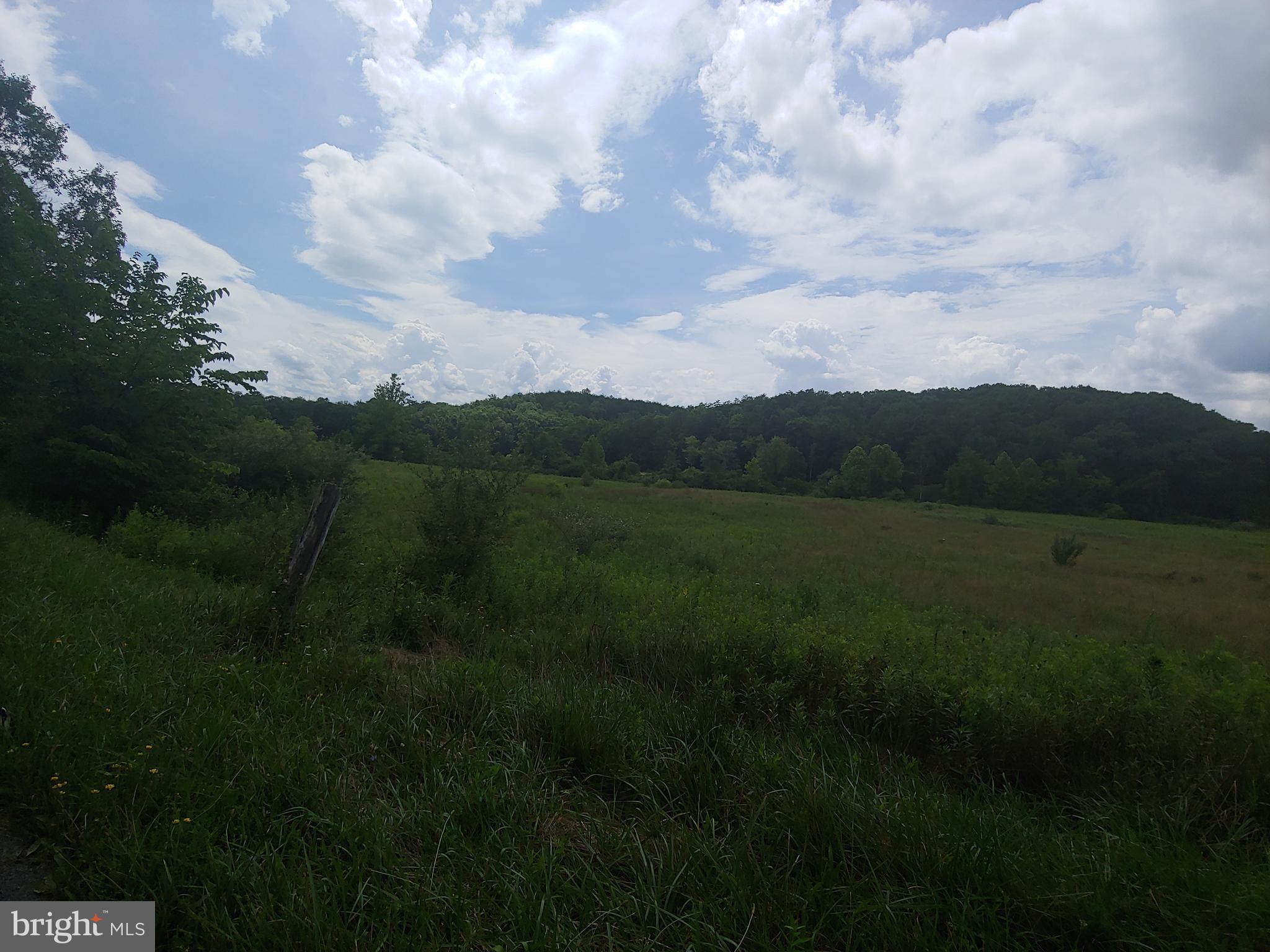 Bear Hill Road Oldtown, MD 21555 - Photo 7 of 10 a view of a big yard of a house with a garden