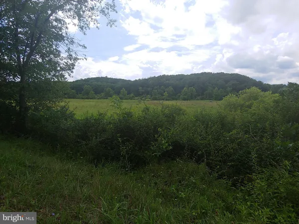 a view of a lake with a yard