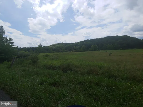 a view of an outdoor space and a yard
