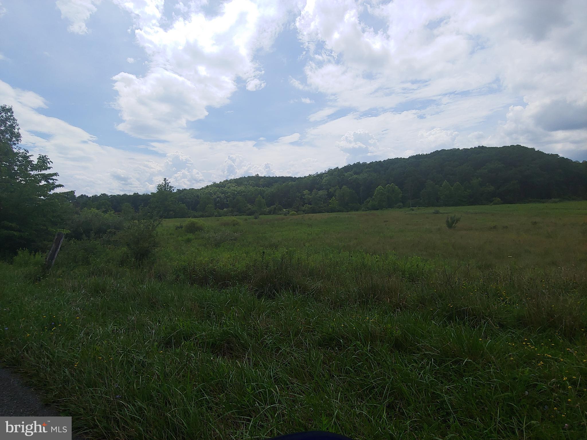 Bear Hill Road Oldtown, MD 21555 - Photo 9 of 10 a view of an outdoor space and a yard