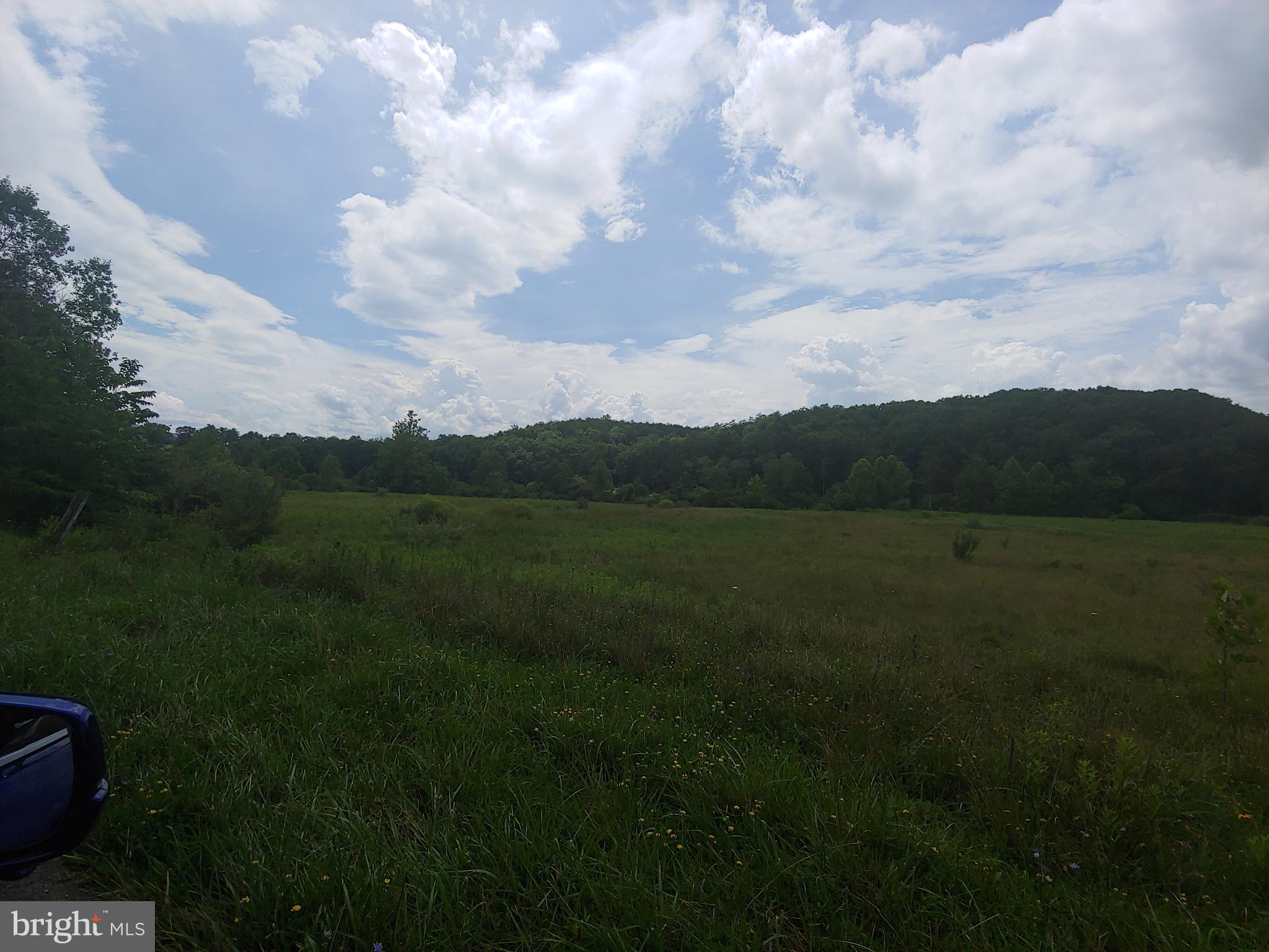 Bear Hill Road Oldtown, MD 21555 - Photo 10 of 10 a view of a big yard of a house with a garden