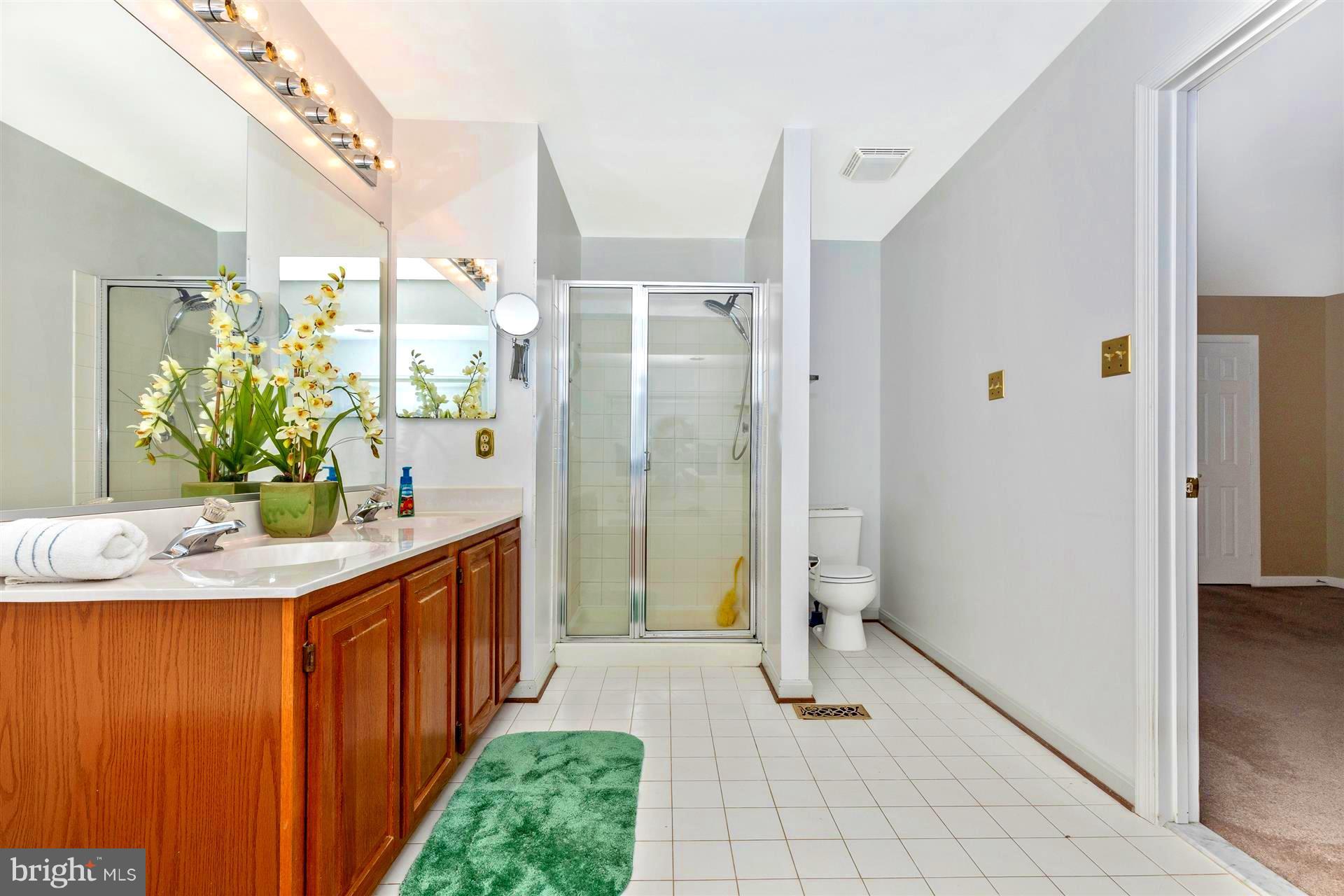 2813 Gillis Road Mount Airy, MD 21771 - Photo 19 of 30 Bath (Master)