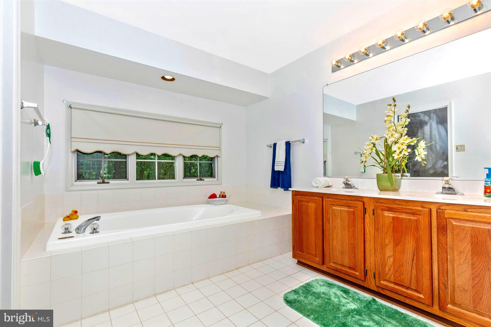 2813 Gillis Road Mount Airy, MD 21771 - Photo 20 of 30 Bath (Master)