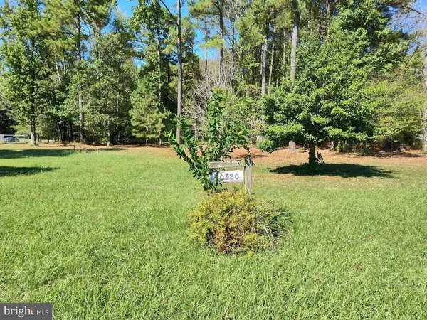 a view of yard with green space