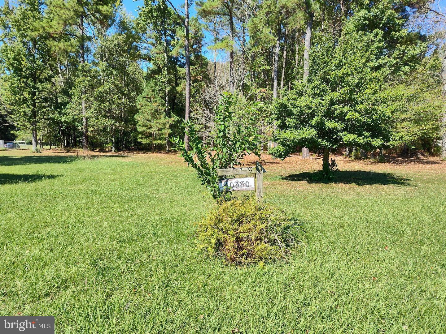 a view of yard with green space