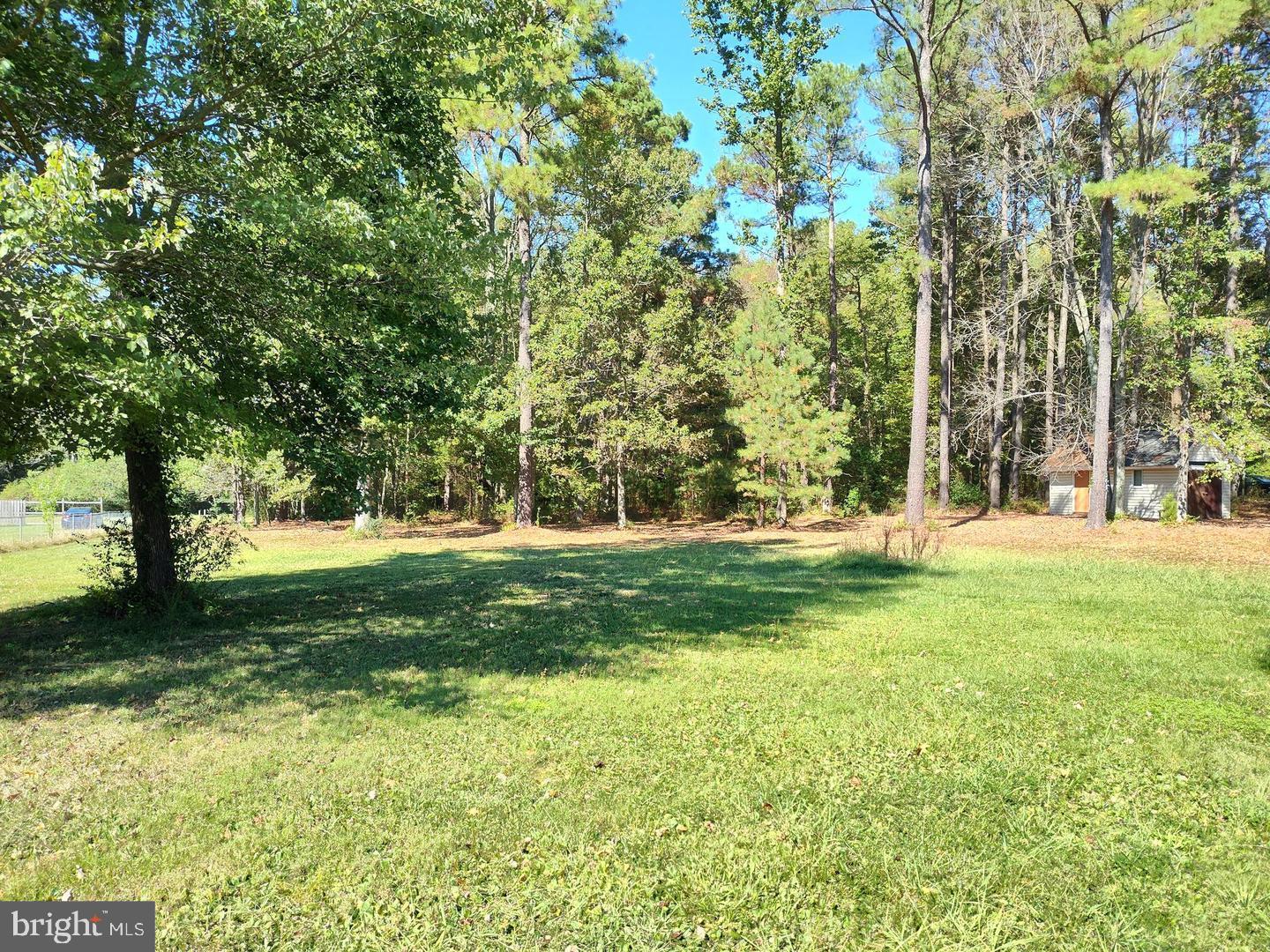 40580 Kavanagh Road Mechanicsville, MD 20659 - Photo 2 of 5 a view of yard with trees
