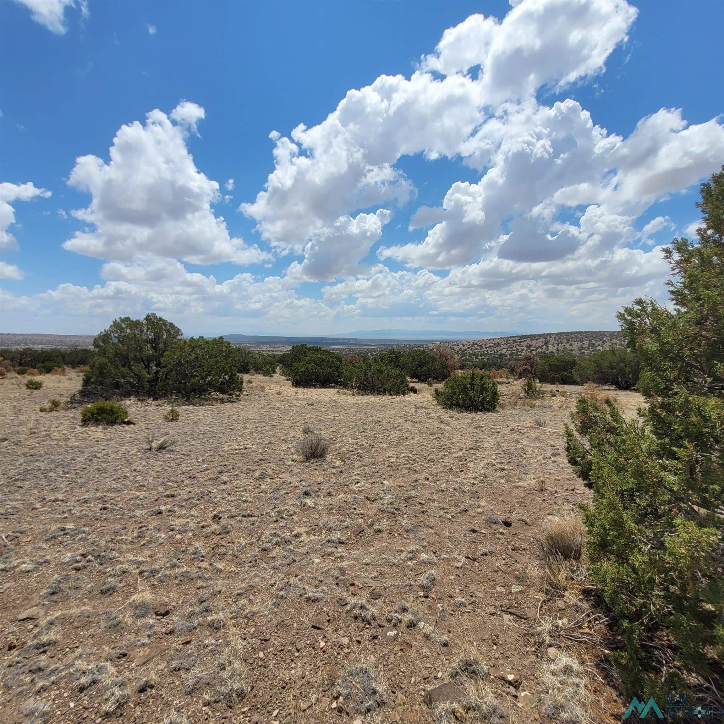 40 East Rock Loop Datil, NM 87821 - Photo 76 of 90 Gallery Image 76