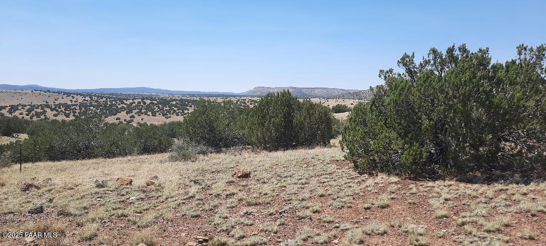 47205 Williamson Valley Road Seligman, AZ 86337 - Photo 6 of 25 wv thumbnail (3)