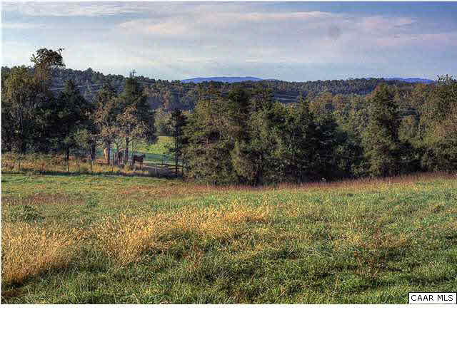 4443 Catterton Road Free Union, VA 22940 - Photo 2 of 17 a view of outdoor space and mountain view
