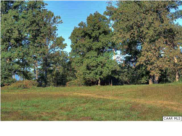 4443 Catterton Road Free Union, VA 22940 - Photo 5 of 17 a view of an outdoor space and a yard