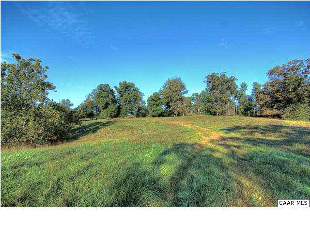 4443 Catterton Road Free Union, VA 22940 - Photo 6 of 17 a black and white photo of a field