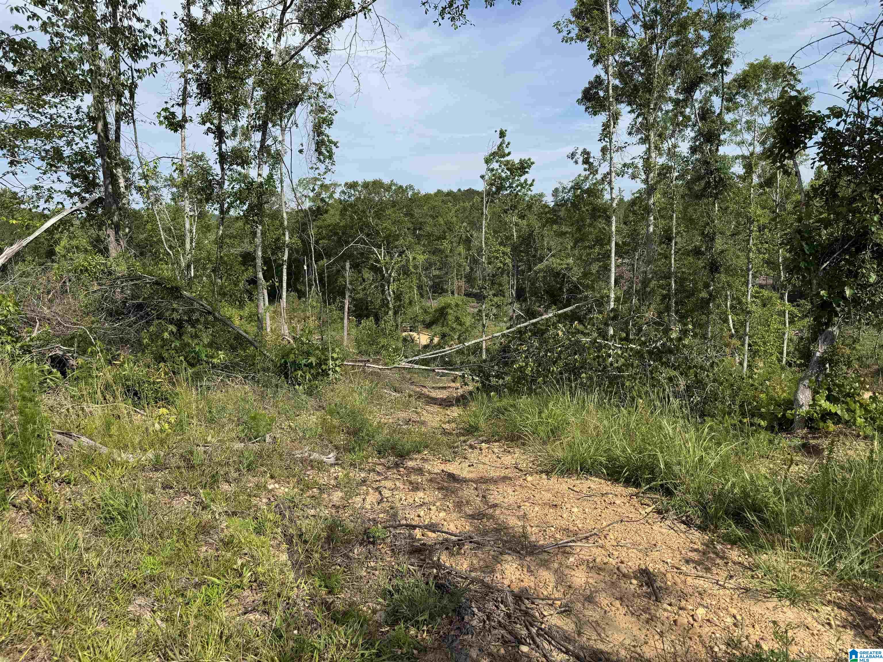 Active Road, Unit 5 Lawley, AL 36793 - Photo 31 of 38
