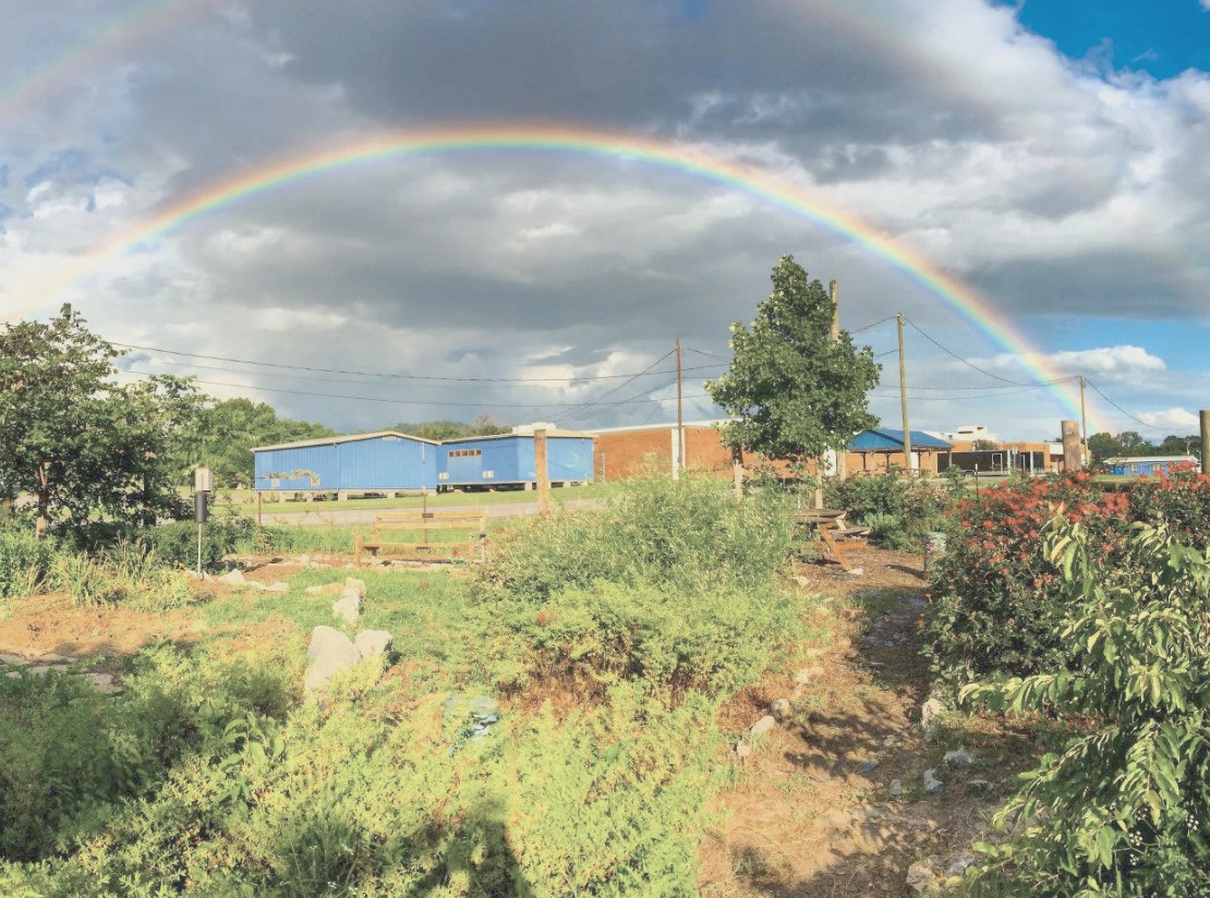 810 Bellevue Road, Unit 290 Nashville, TN 37221 - Photo 34 of 38