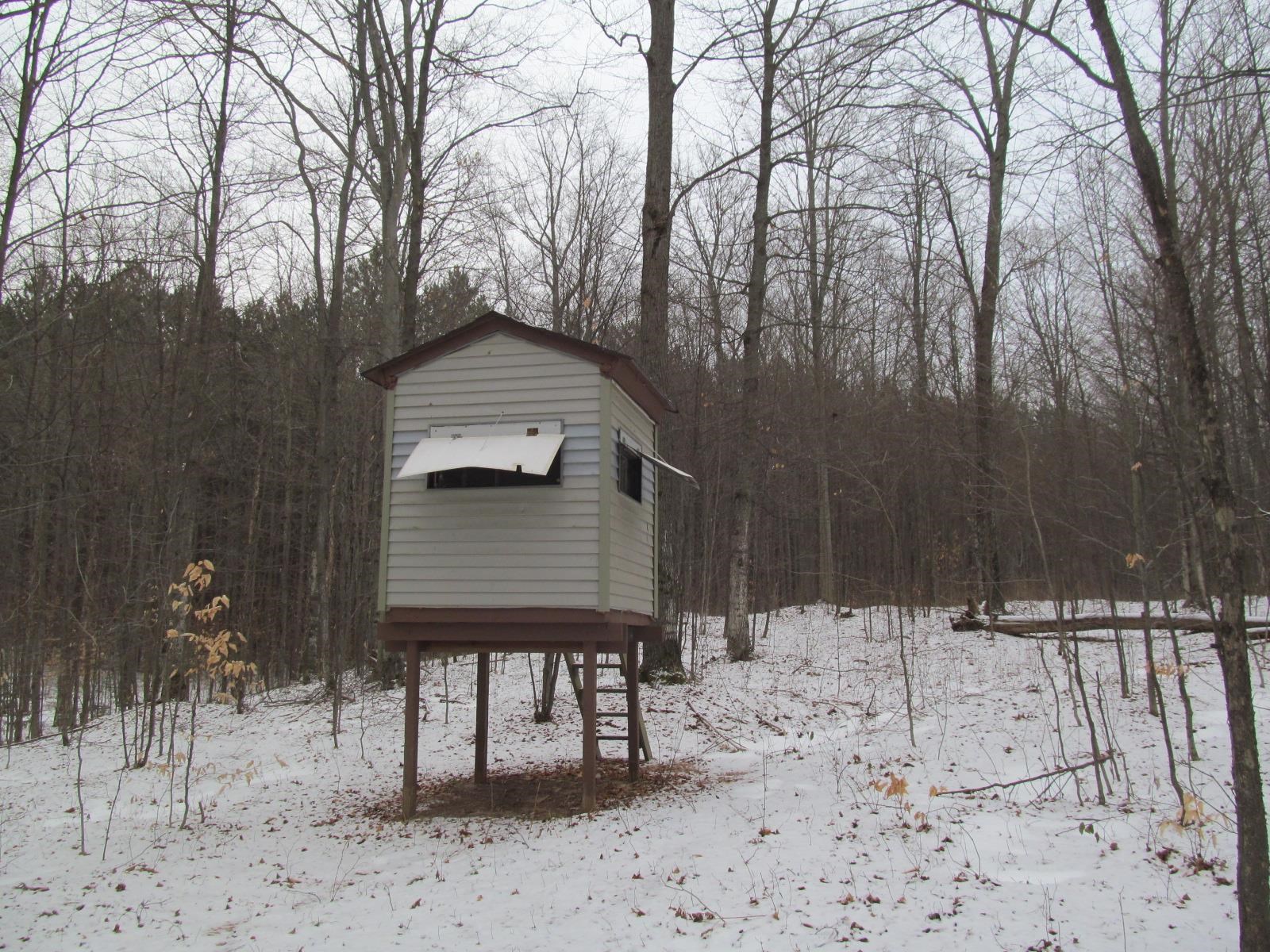 10-acres North 23 Road Mesick, MI 49668 - Photo 6 of 18