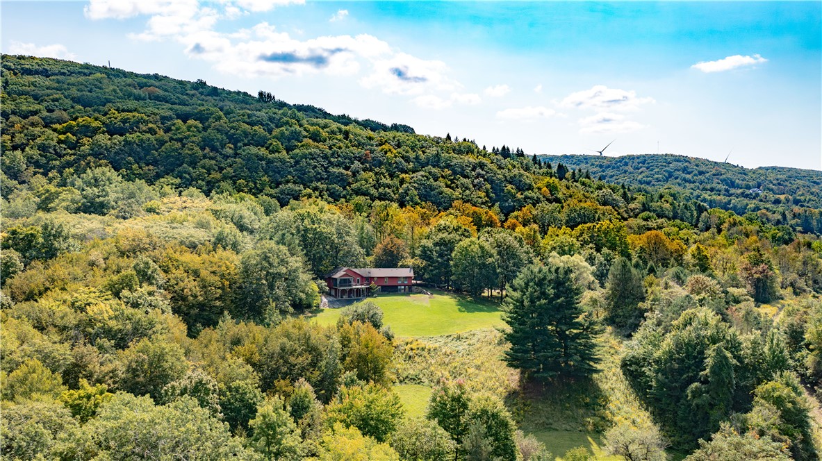 7396 County Line Road Naples, NY 14512 - Photo 49 of 50