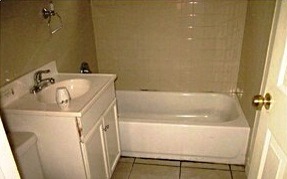 9344 South Perry Avenue Chicago, IL 60620 - Photo 5 of 7