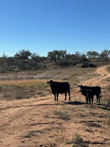 $1,454,000 | 948 County Road 314, Llano, TX 78643