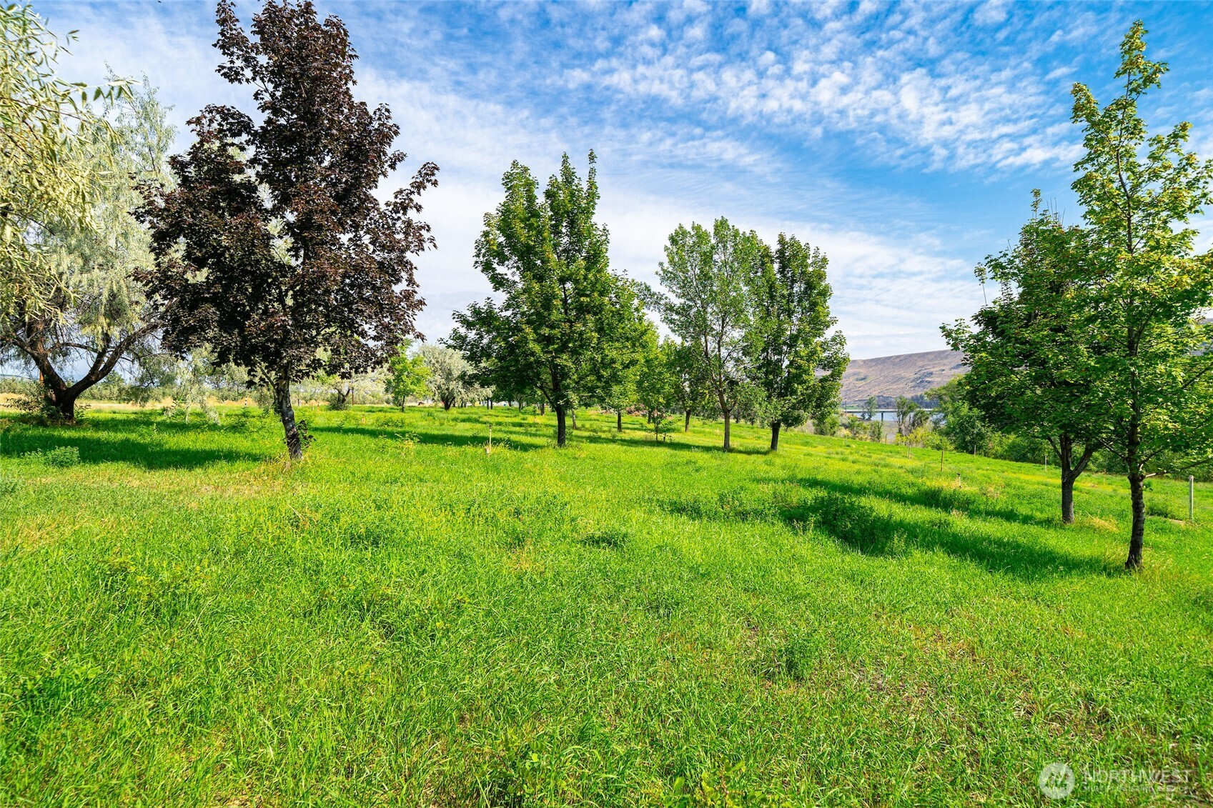 306 Monse River Road Brewster, WA 98812 - Photo 34 of 40