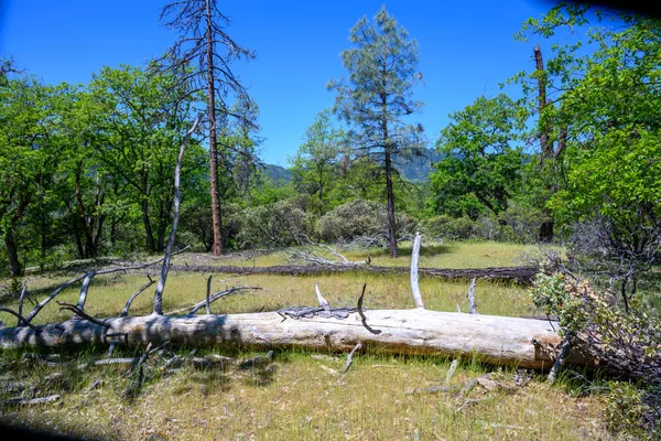 a view of a swimming pool with a yard