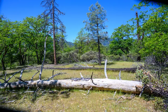 a view of a swimming pool with a yard