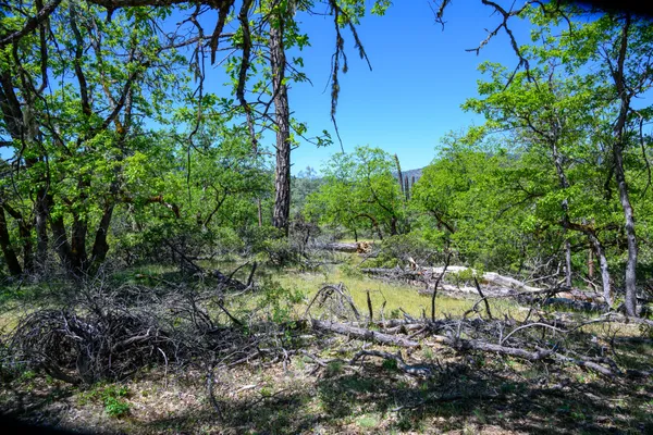 a backyard of a house with a yard
