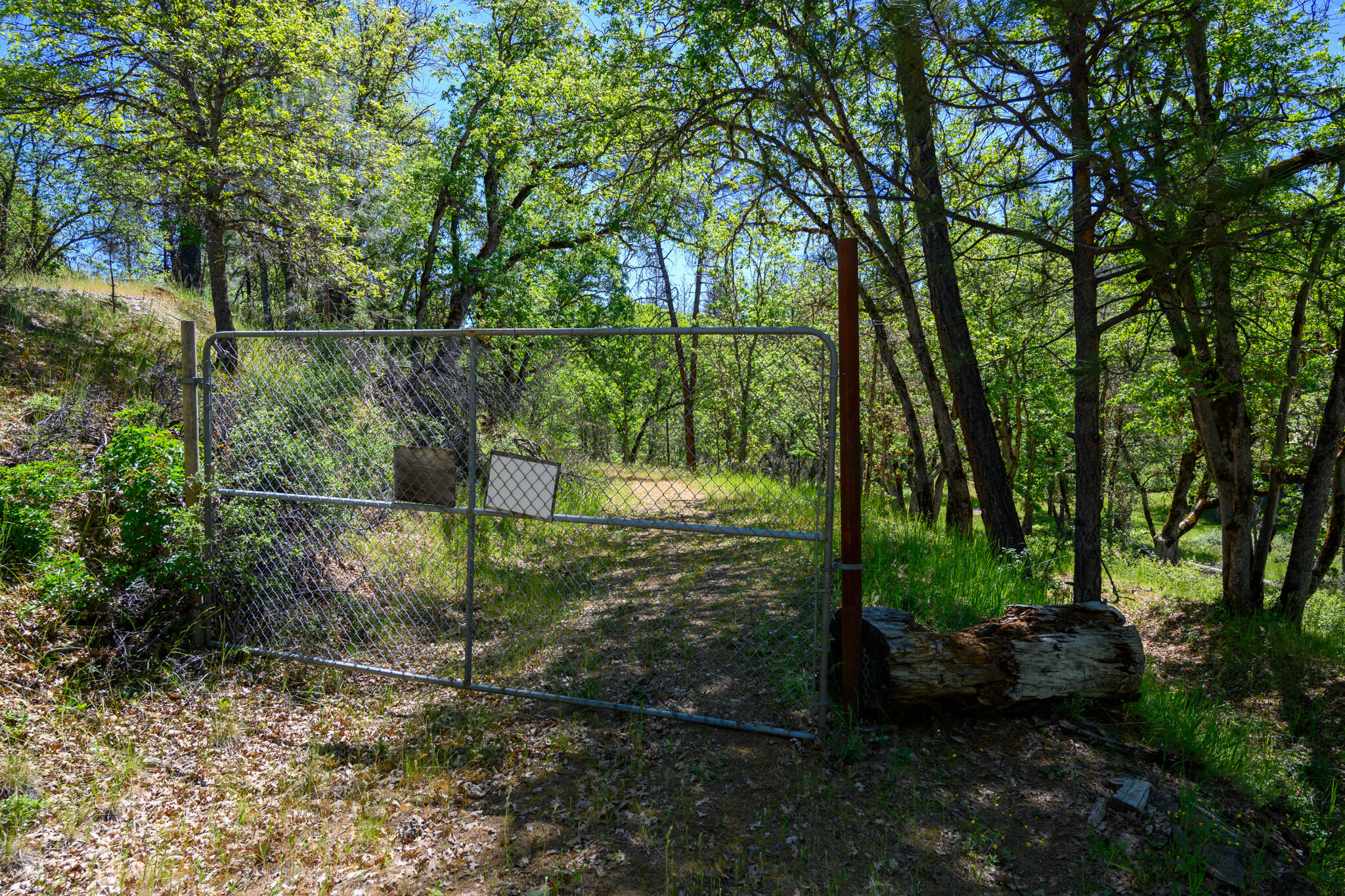 230 Shasta Springs Road Weaverville, CA 96093 - Photo 2 of 23 a backyard of a house with lots of green space