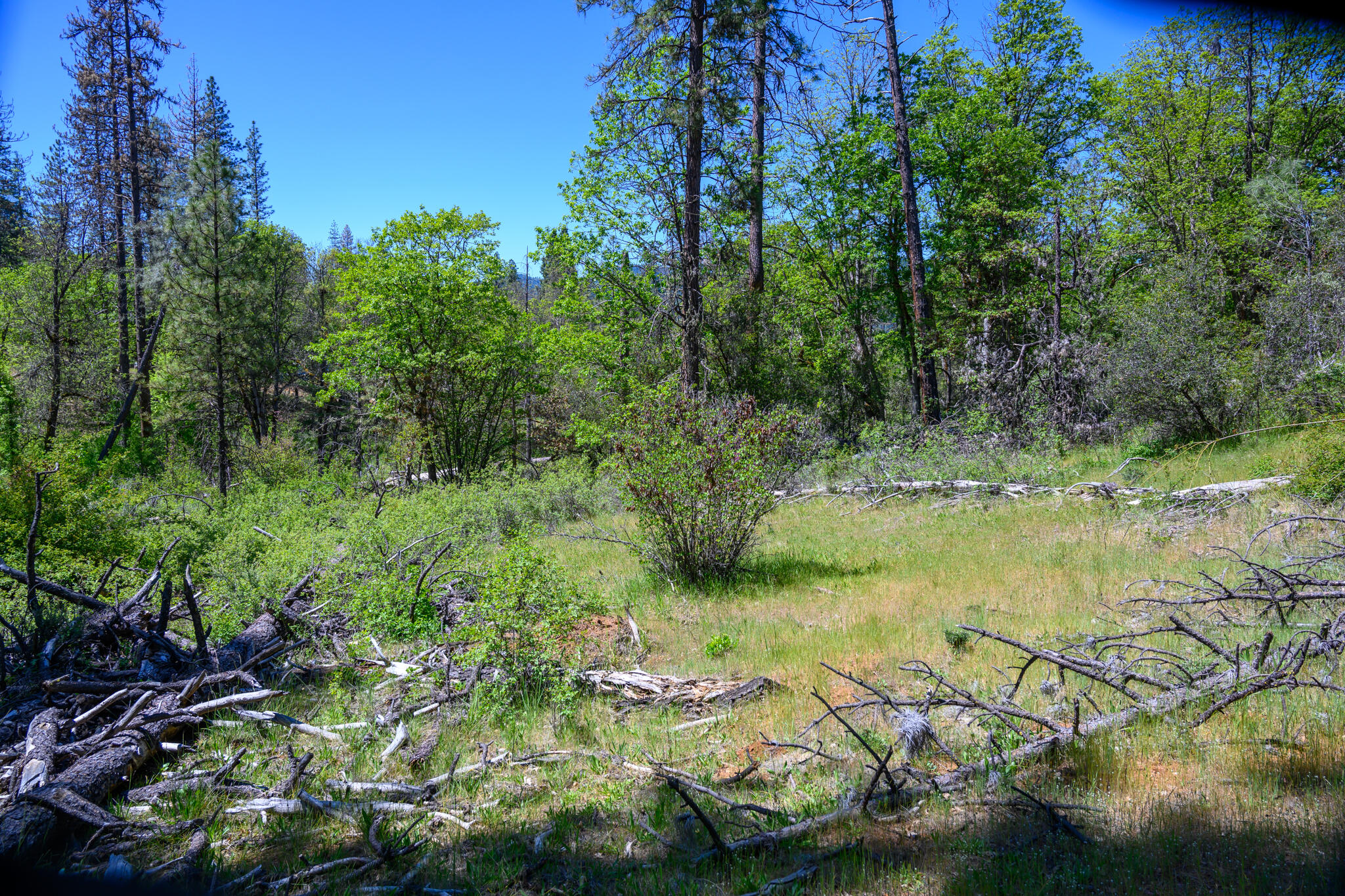 230 Shasta Springs Road Weaverville, CA 96093 - Photo 4 of 23 a view of lake with green space