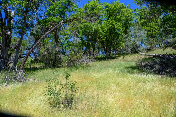 a view of a lake view