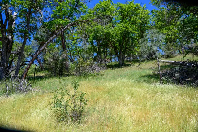 a view of a lake view