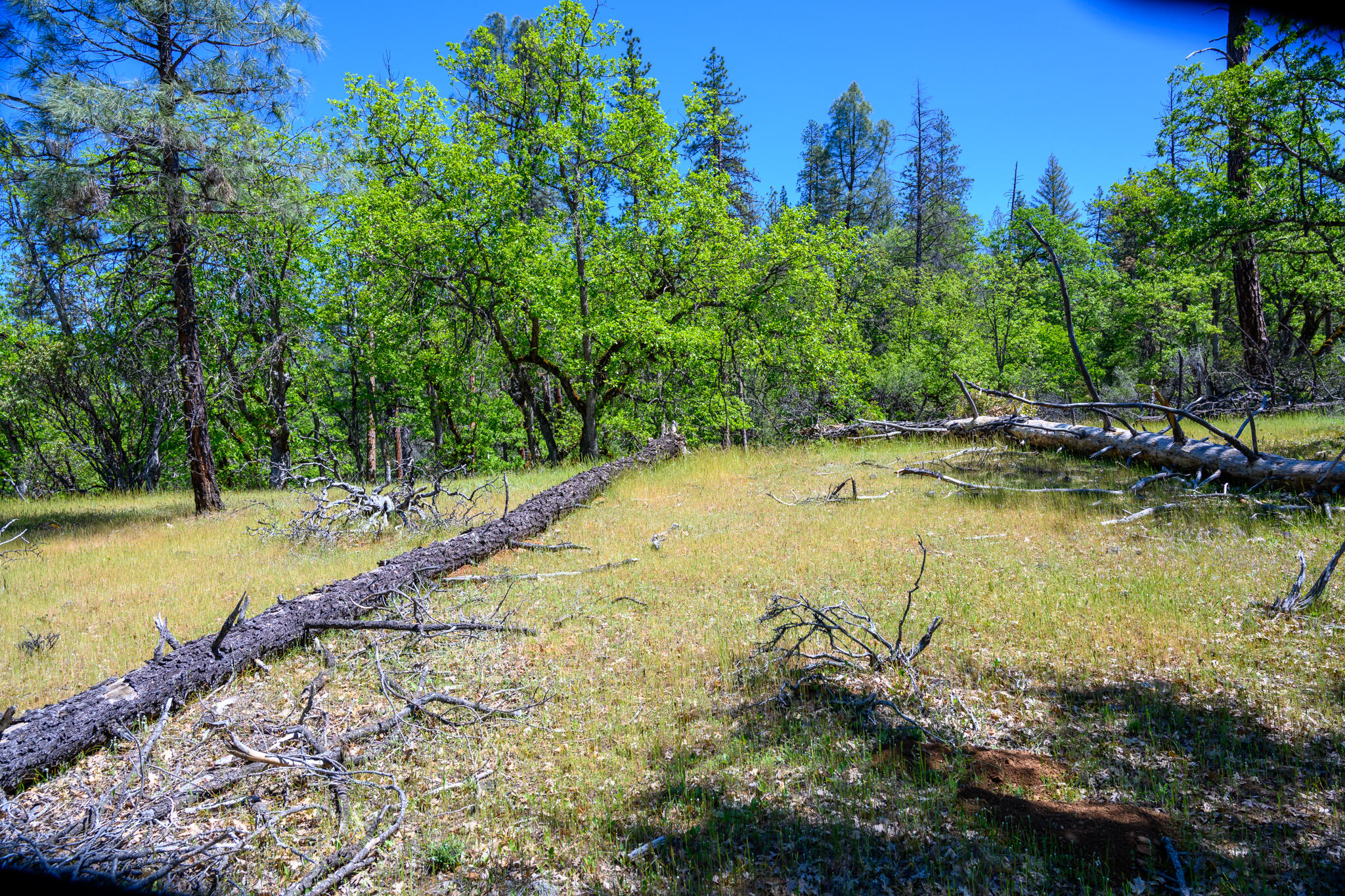230 Shasta Springs Road Weaverville, CA 96093 - Photo 10 of 23 a view of a swimming pool with an outdoor space and seating area