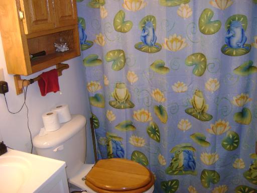 3514 Vine Street McHenry, IL 60050 - Photo 7 of 10 a bathroom with a sink and toilet