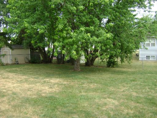 3514 Vine Street McHenry, IL 60050 - Photo 8 of 10 a view of a yard