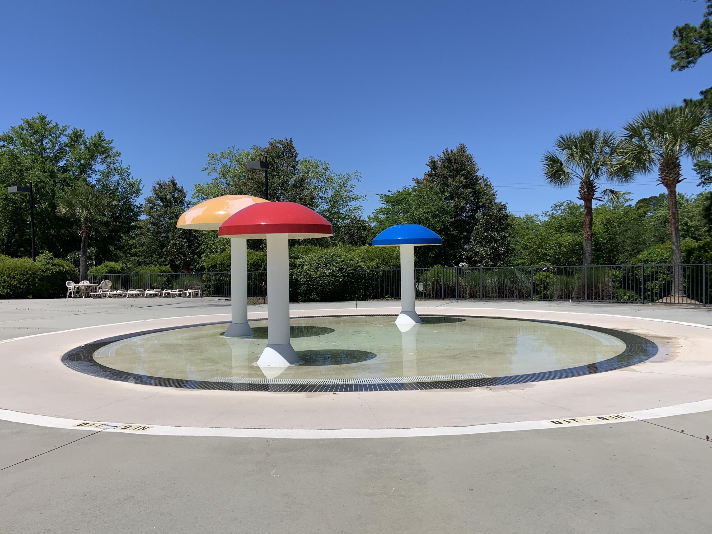 8022 Mckayla Road Summerville, SC 29483 - Photo 52 of 56 Splash Pad