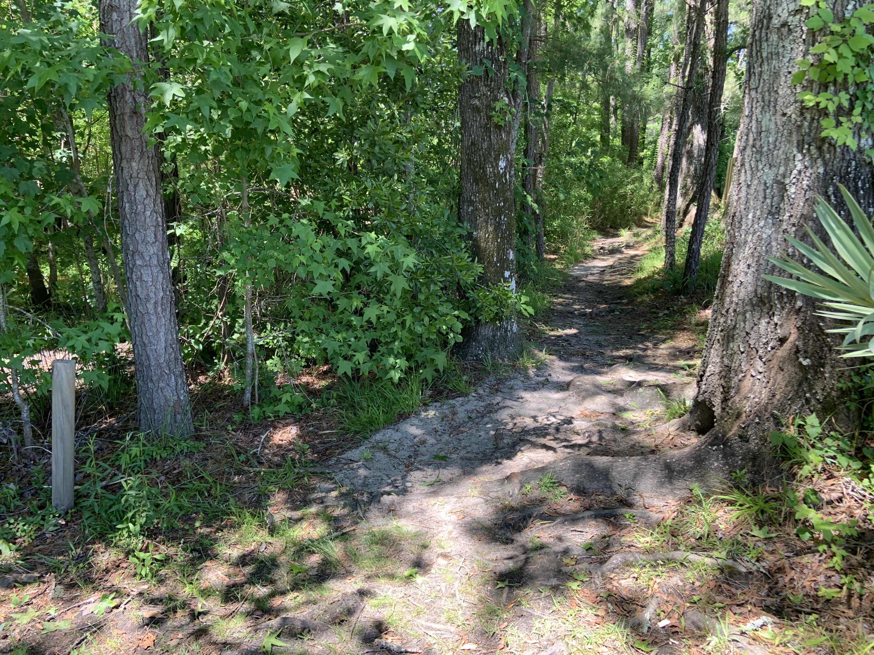 8022 Mckayla Road Summerville, SC 29483 - Photo 56 of 56 Myers Mill Nature Trail