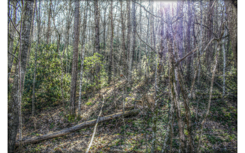 0 Forest View Murphy, NC 28906 - Photo 1 of 1 Main View